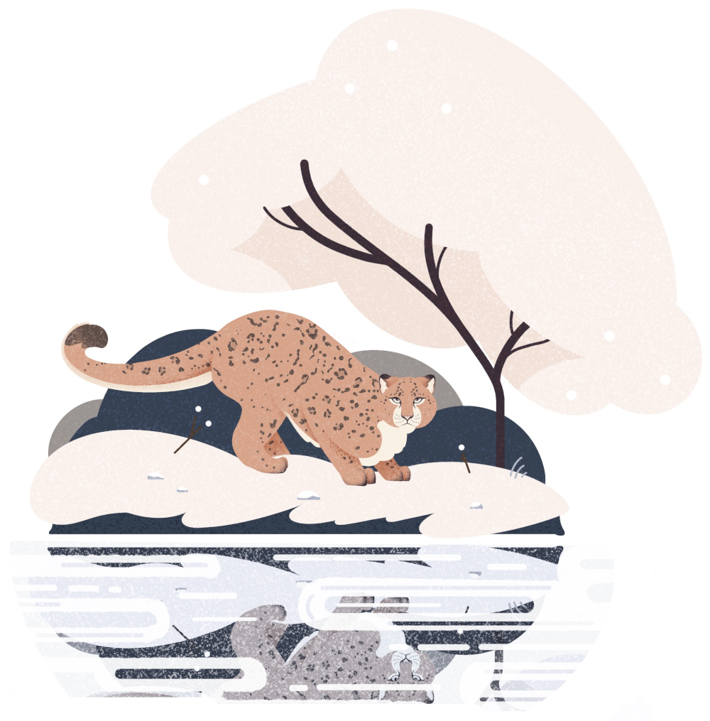 Illustration of snow leopard crouching by lakeside, with tree and bushes behind.